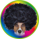 AFRO MOON DOG
