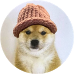 babydogwifhat