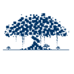 Banyan Network