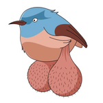 BIG BALLS BIRDS