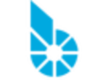bitGold