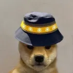 BNB DOGE