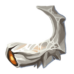 Bone Fragment