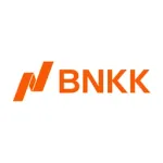 Bonk Index