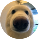 Boop
