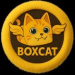 Boxcat