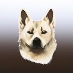 Buhund