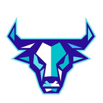 BullBankers