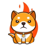 BurnDoge