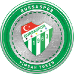 Bursaspor Fan Token