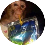 Caprisun Monkey
