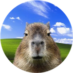 Capycoin