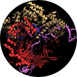 Cas9