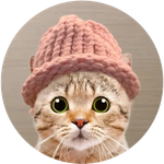 CatWifHat