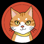 Catcoin BSC