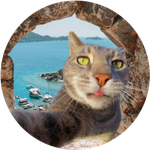 CATOUR