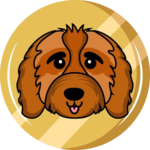 Cavapoo