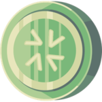 ChanCoin