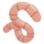 Chikn Worm