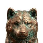copper inu