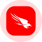 CrowdStrike Tokenized Stock (Ondo)