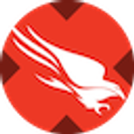 CrowdStrike xStock