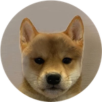 DogWifNoHat