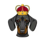 DogeKing
