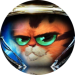 DontPlaywithKitty