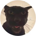 Evil Larry