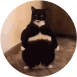 Fat Cat