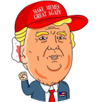 Fight For Trump