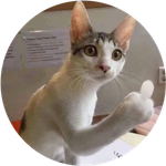 FlipCat