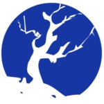 The Forbidden Forest