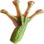 FrogArm