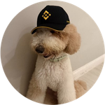 Fur-nancial advisor