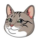 GINNANCTO