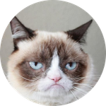 grumpycat