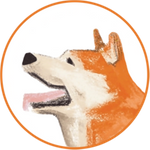 Hachi