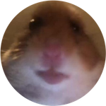 HAMI