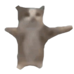 Happi Cat