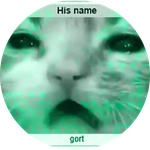 His name gort