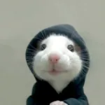 Hood rat