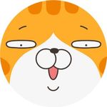 LanLan Cat