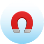 Magnet