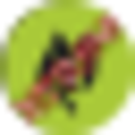Magnum