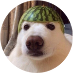 Melon Dog