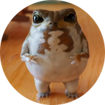 No1 tiktok frog (Omochi)