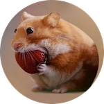 nomnom