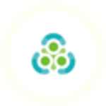NSS coin